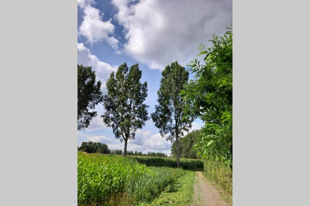 Brabants Genoegen Heeswijk Dinther Экстерьер фото